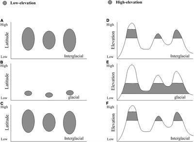 Glacial Expansion or Interglacial Expansion? Contrasting Demographic Models of Four Cold-Adapted Fir Species in North America and East Asia